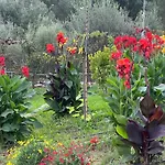 Giardinia Homes With Private Pool Ferienhaus